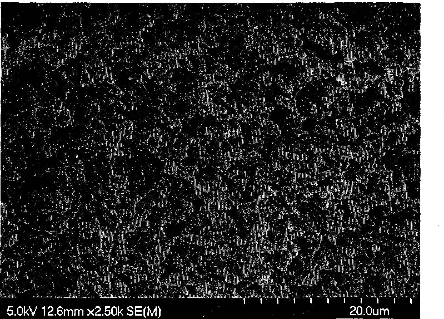 Preparation method of epoxy resin base micron to nano grade pore gelatin