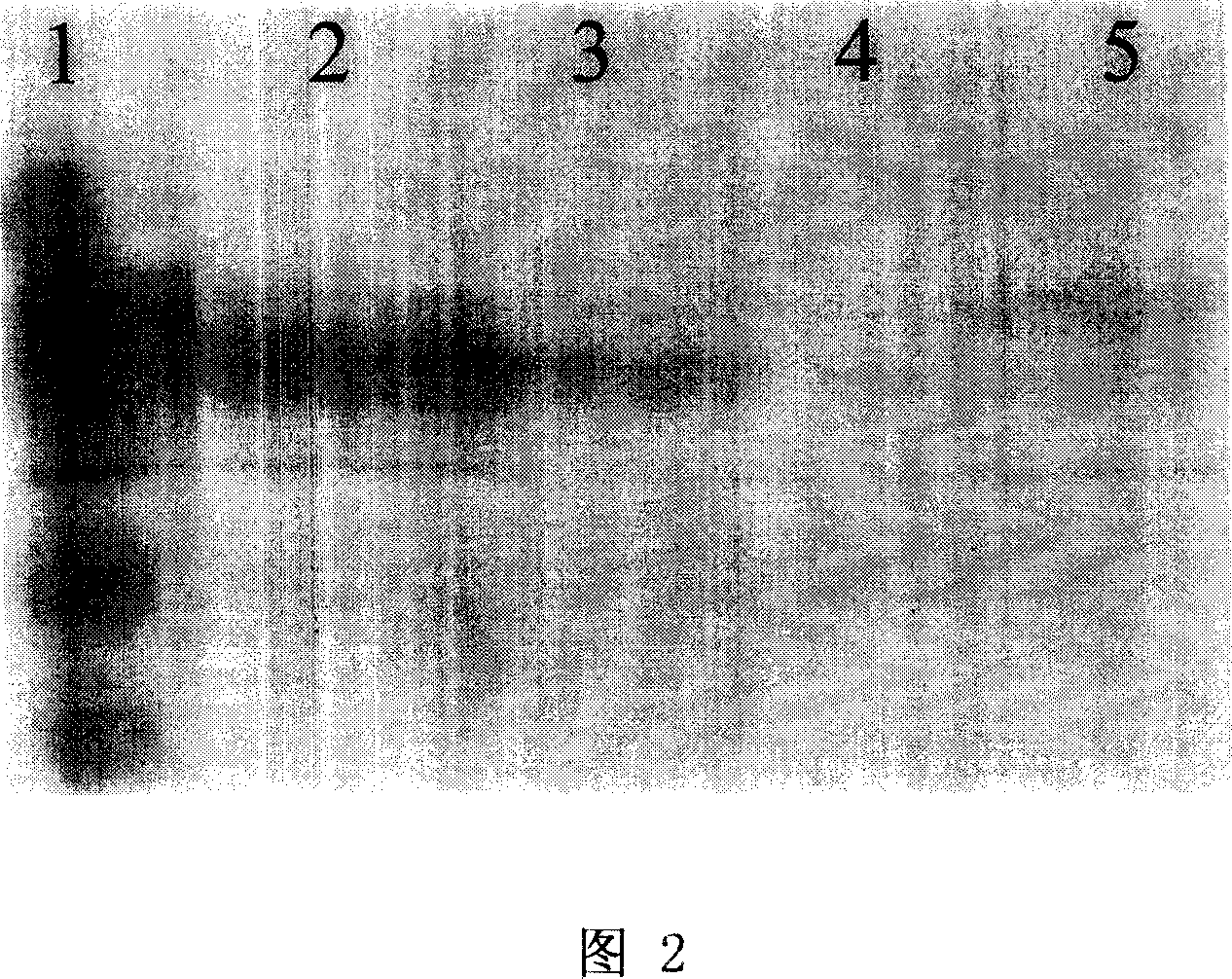 Method for enriching and purifying glycosylation protein