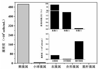 A kind of stable cultivation method for indoor simulated algae bloom