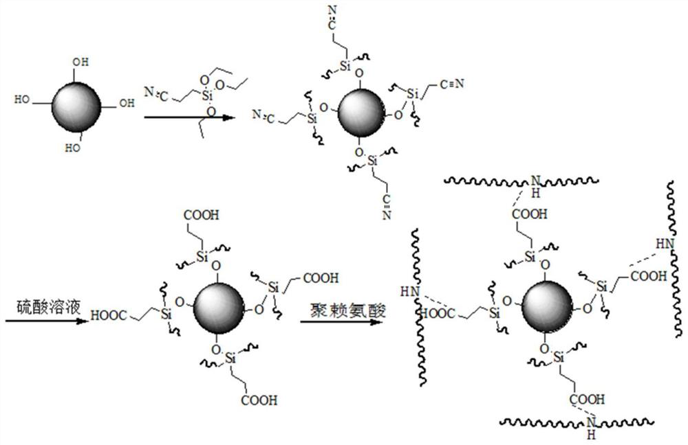 Preparation method of anti-allergic antibacterial cream