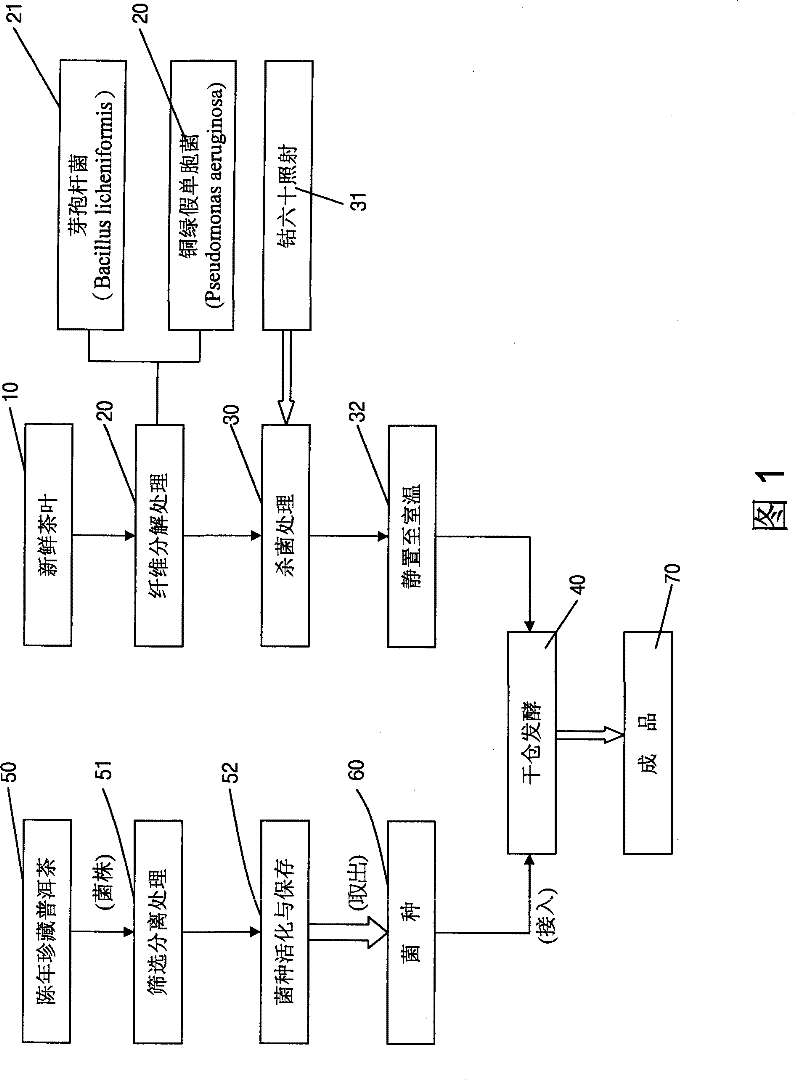 Inoculum fermented pu'er tea preparation method