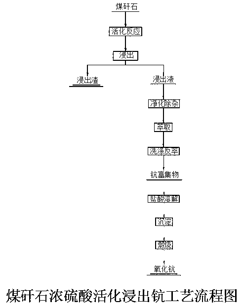 Method for extracting scandium from coal gangue through concentrated sulfuric acid activating leaching