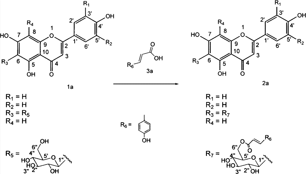 Preparation method and application of flavone-C-glycoside 6'' hydroxyl-ester derivative