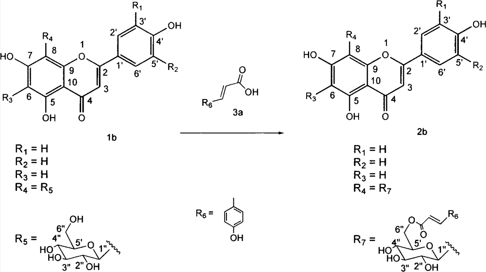 Preparation method and application of flavone-C-glycoside 6'' hydroxyl-ester derivative