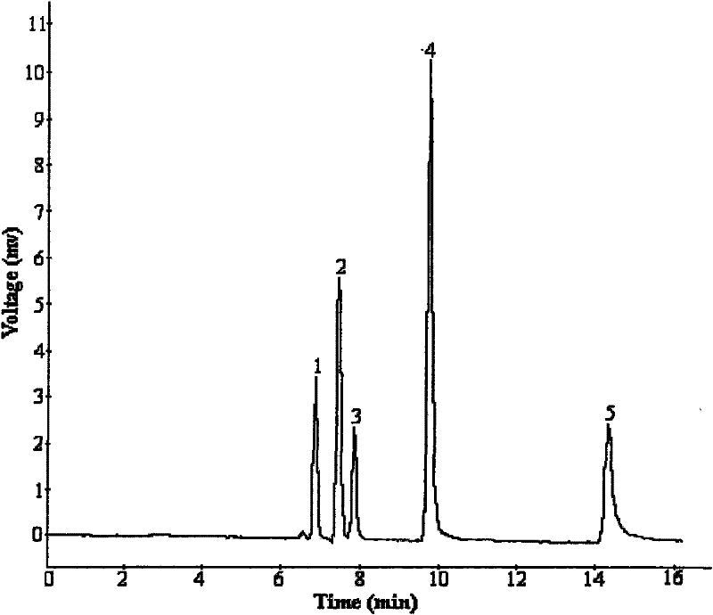 Zwitterion electric chromatographic column and preparation method thereof