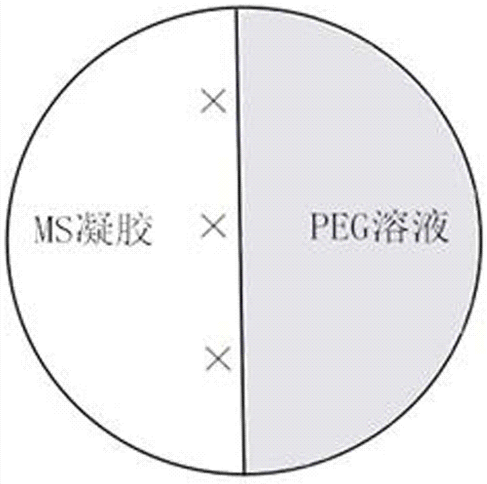 A kind of preparation method and application of solid-liquid two-phase PEG medium
