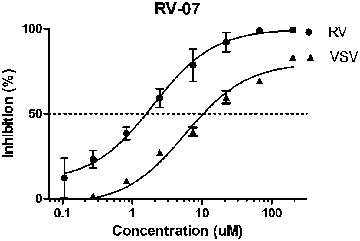 Application of imine phenazine compound as rabies virus inhibitor