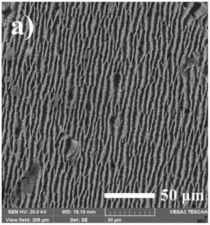 Preparation method for three-dimensional Pd-Ni nanowire array catalyst for catalyzing electro-reduction of hydrogen peroxide