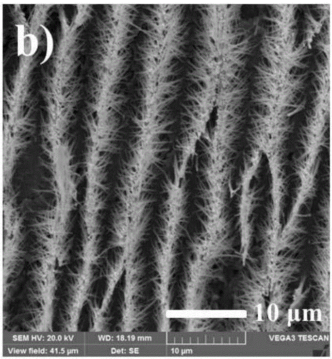 Preparation method for three-dimensional Pd-Ni nanowire array catalyst for catalyzing electro-reduction of hydrogen peroxide