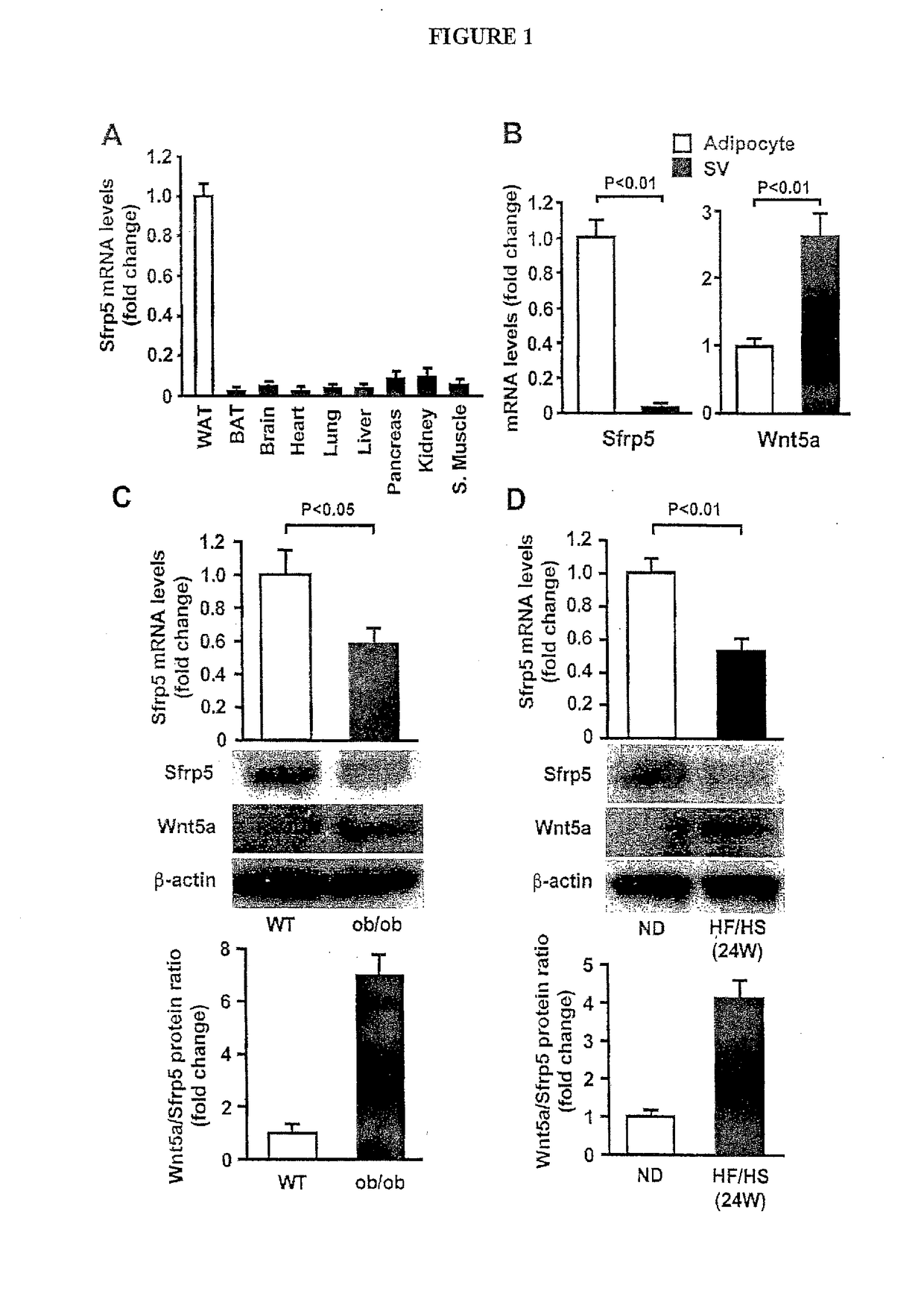 Compounds and methods to measure metabolic function and restore normal metabolic function