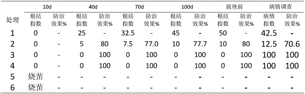 Method of prevention and treatment of tomato root knot nematode disease by castor bean meal