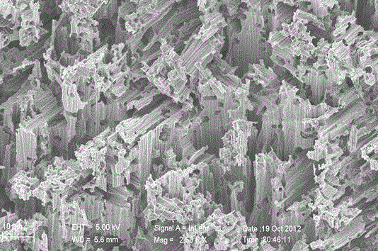 Method for preparing silicon nanotube by taking porous silicon as substrate