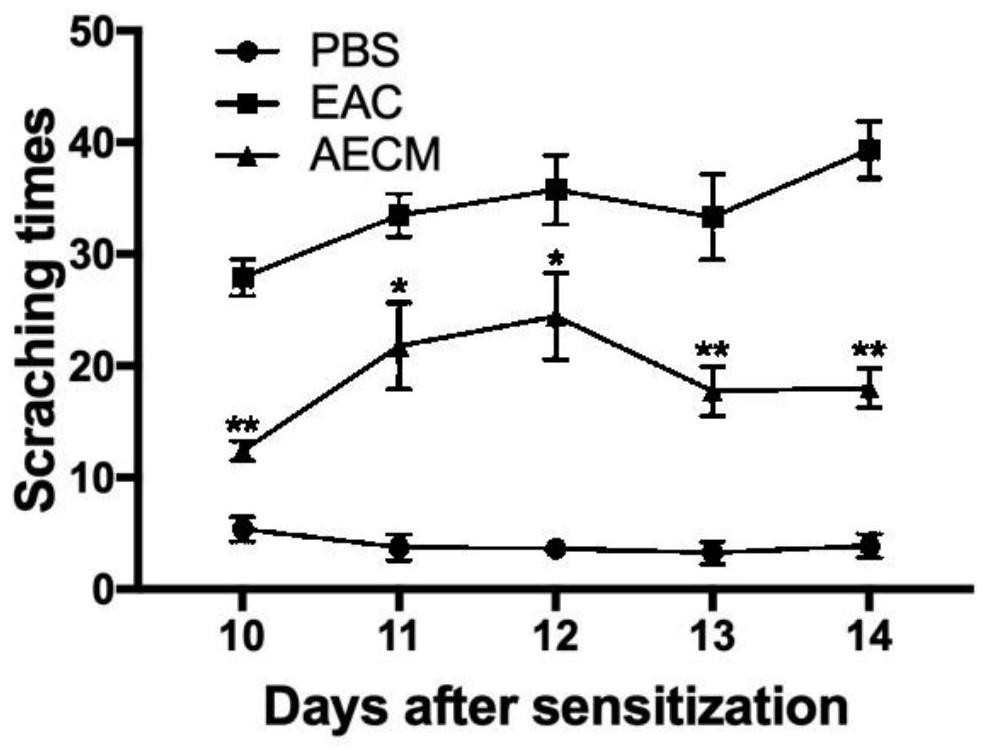 Pharmaceutical application of amniotic epithelial cell conditioned medium