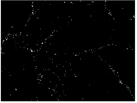 Sintering method of abrasion resisting abrasive particles