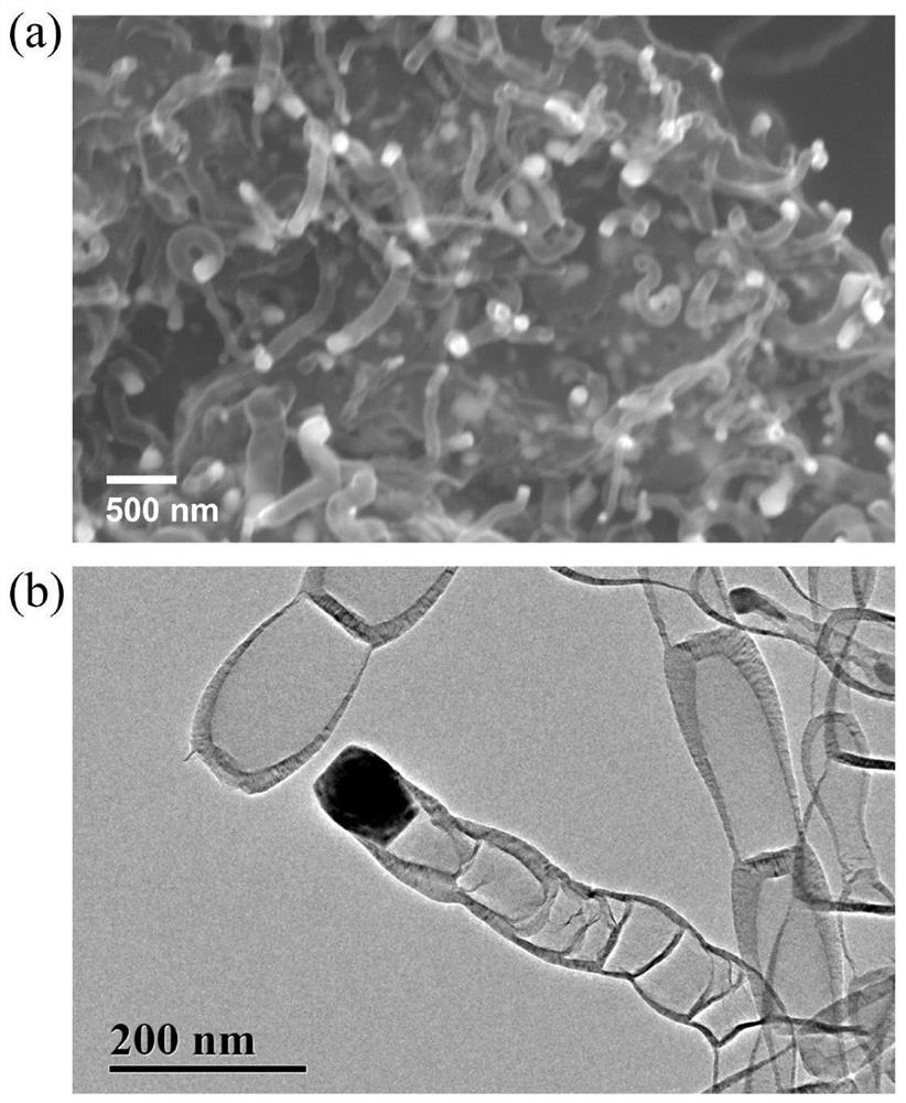 Nickel particle modified carbon matrix, preparation and mass spectrometry application of small molecule metabolism