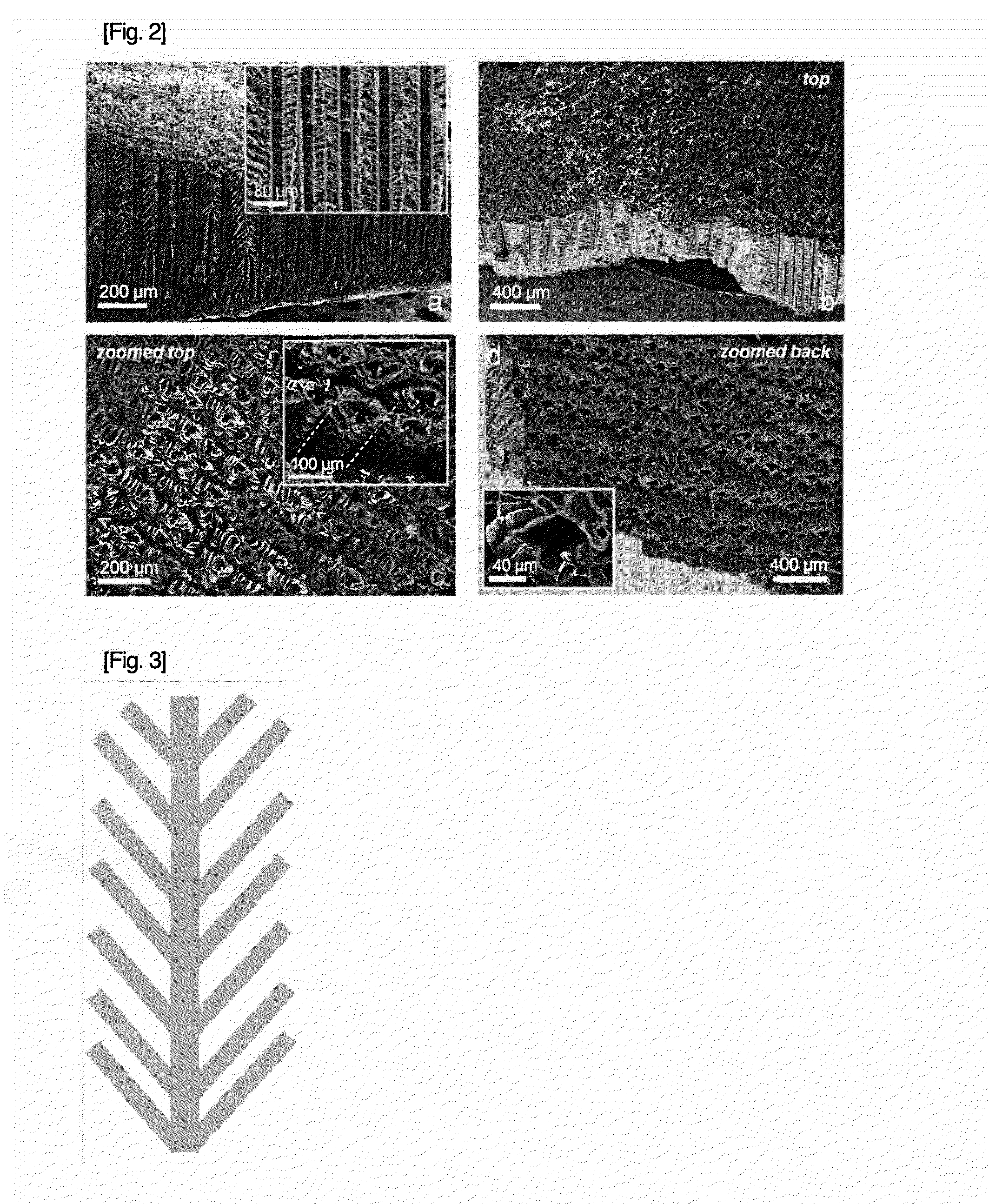 Highly porous solid material made of biodegradable polymer and method of fabricating, processing, and cell-seeding the same