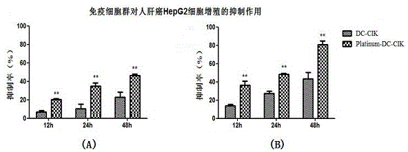Preparation method and application of modified enhanced DC-CIK targeting immune cell populations