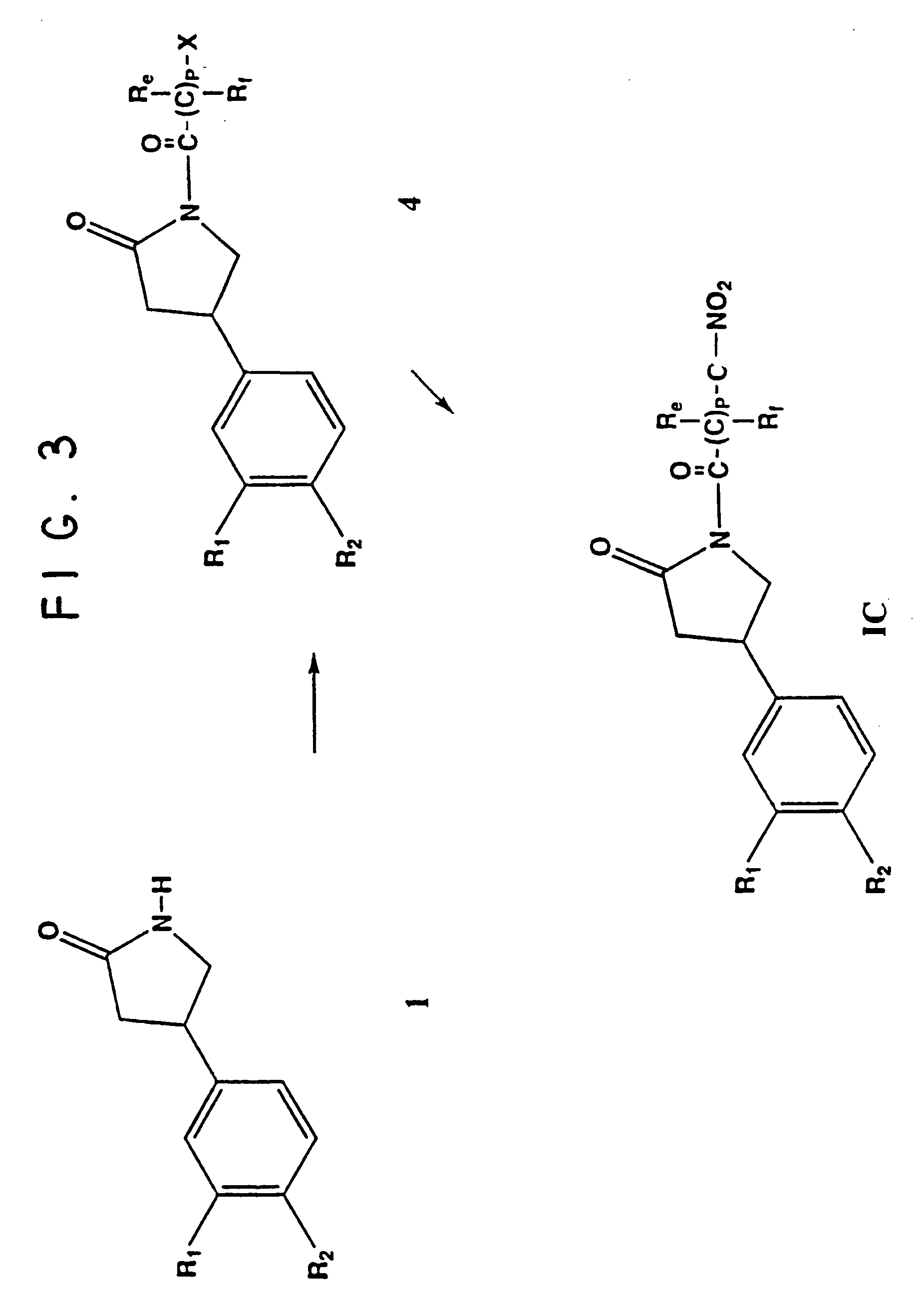 Phosphodiesterase inhibitor compounds and nitric oxide donors