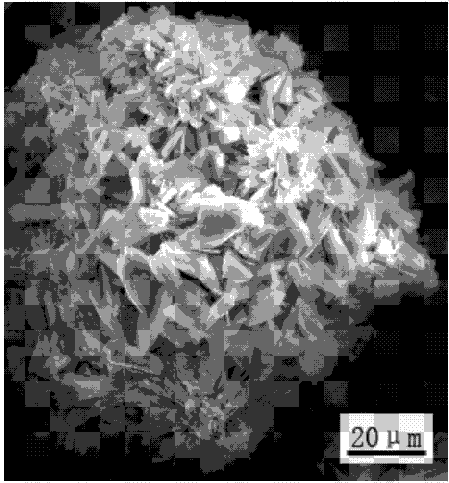 Preparation method of calcium phosphate-coated magnesium powder