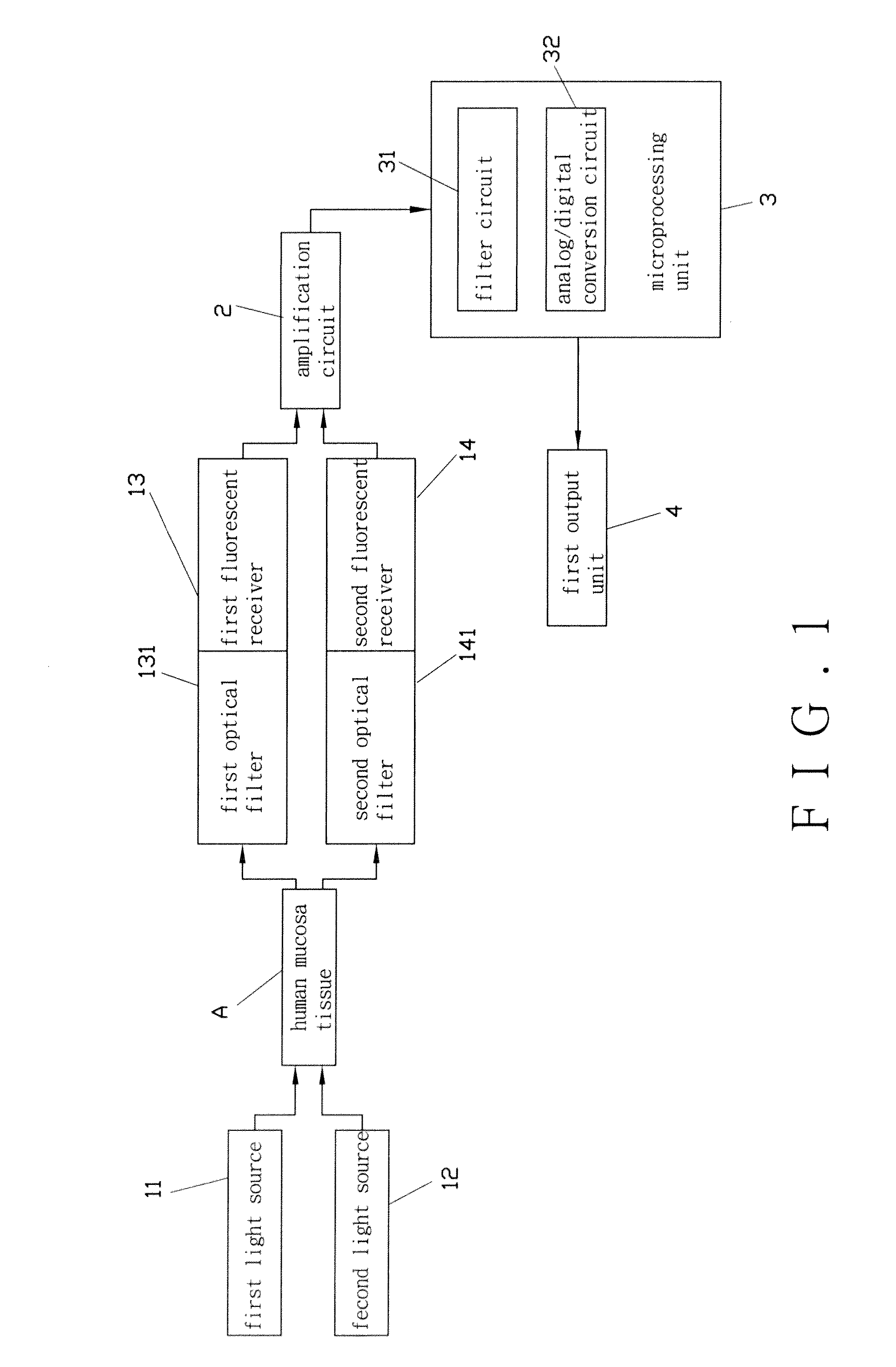 Non-invasive apparatus and method for measuring human metabolic conditions