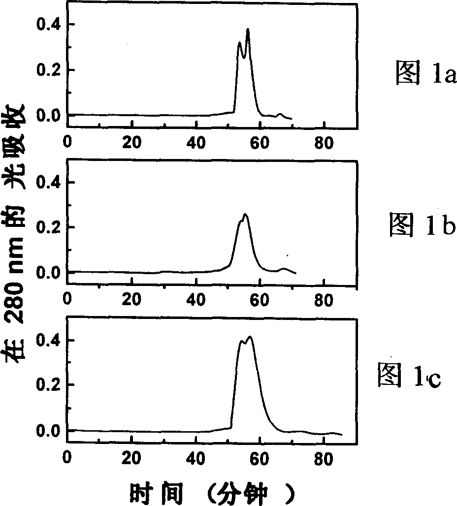 Process for preparing uniform molecule weight polymerized hemoglobin