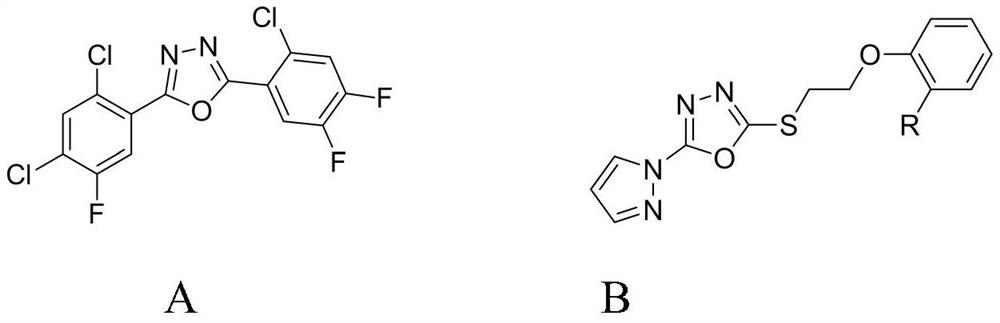 A benzofuryl-containing 1,3,4-oxadiazole compound