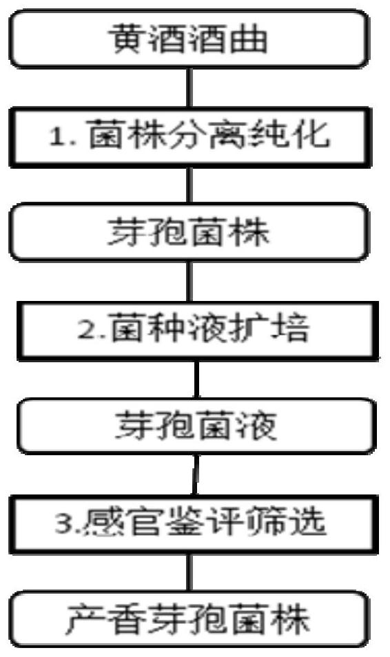 Bacillus velezensis ZH902 and application thereof