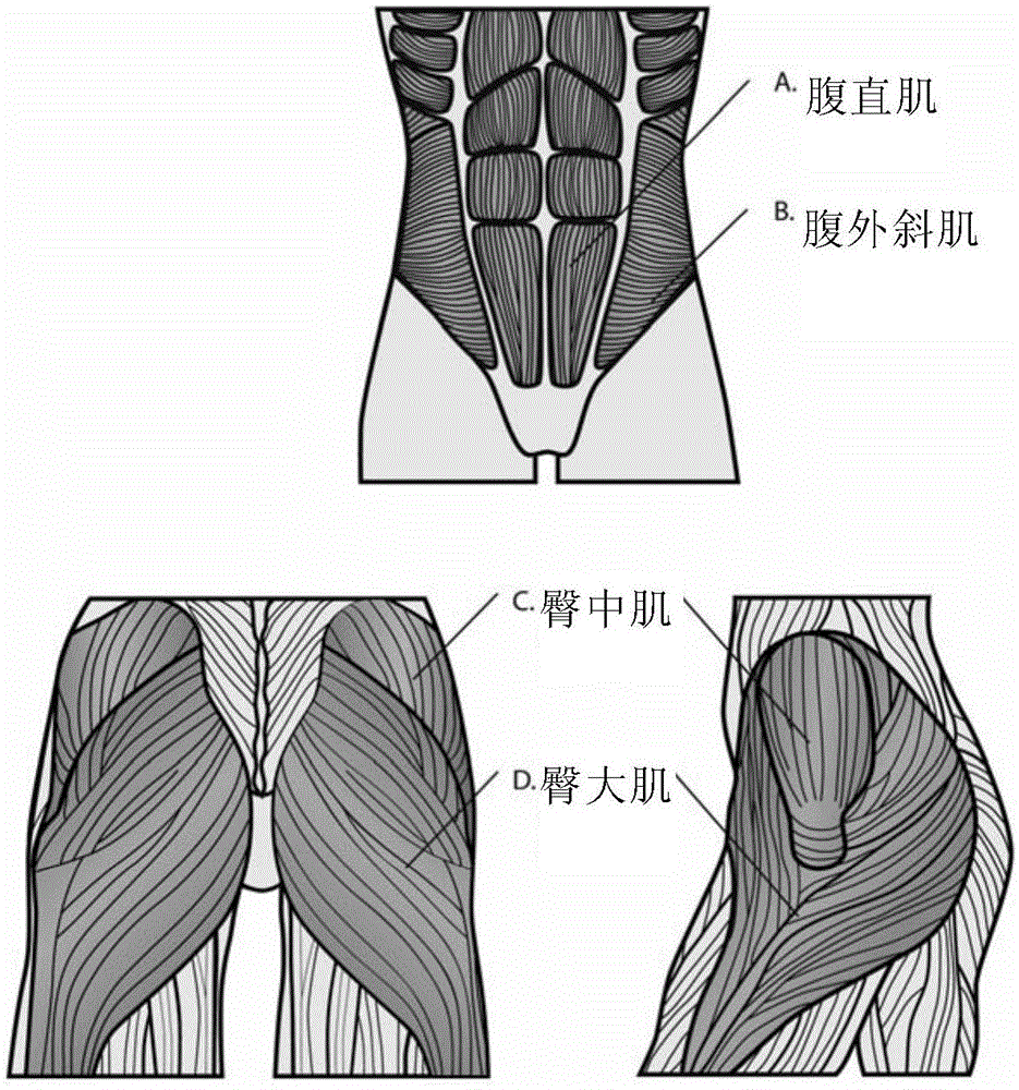 functional slimming shorts