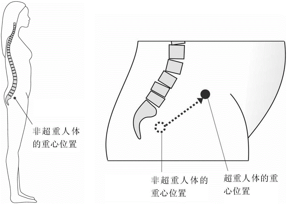 functional slimming shorts