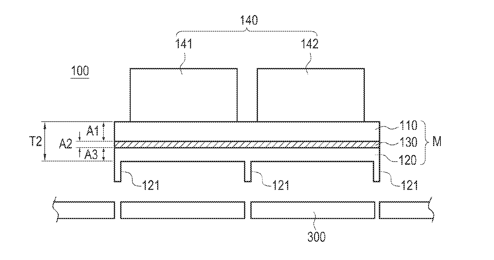Portable terminal and method of manufacturing a module thereof