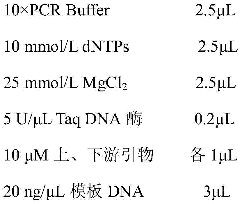 Molecular-specific marker primers and identification methods of Camellia oleifera Variety Changlin 18