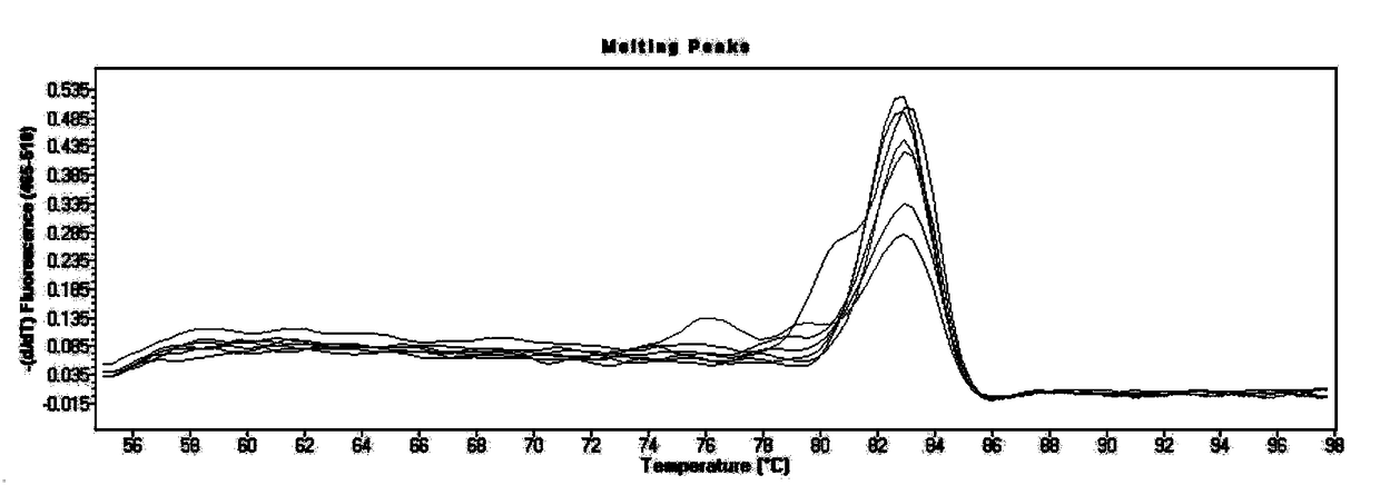 K-Ras gene mutation detection method and applications thereof