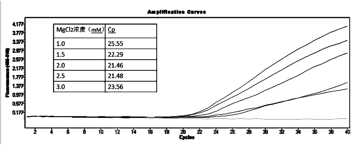 K-Ras gene mutation detection method and applications thereof