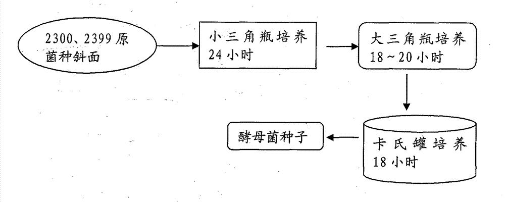Method for preparing nutritious flavoring by using shellfishes and by-products of shellfishes