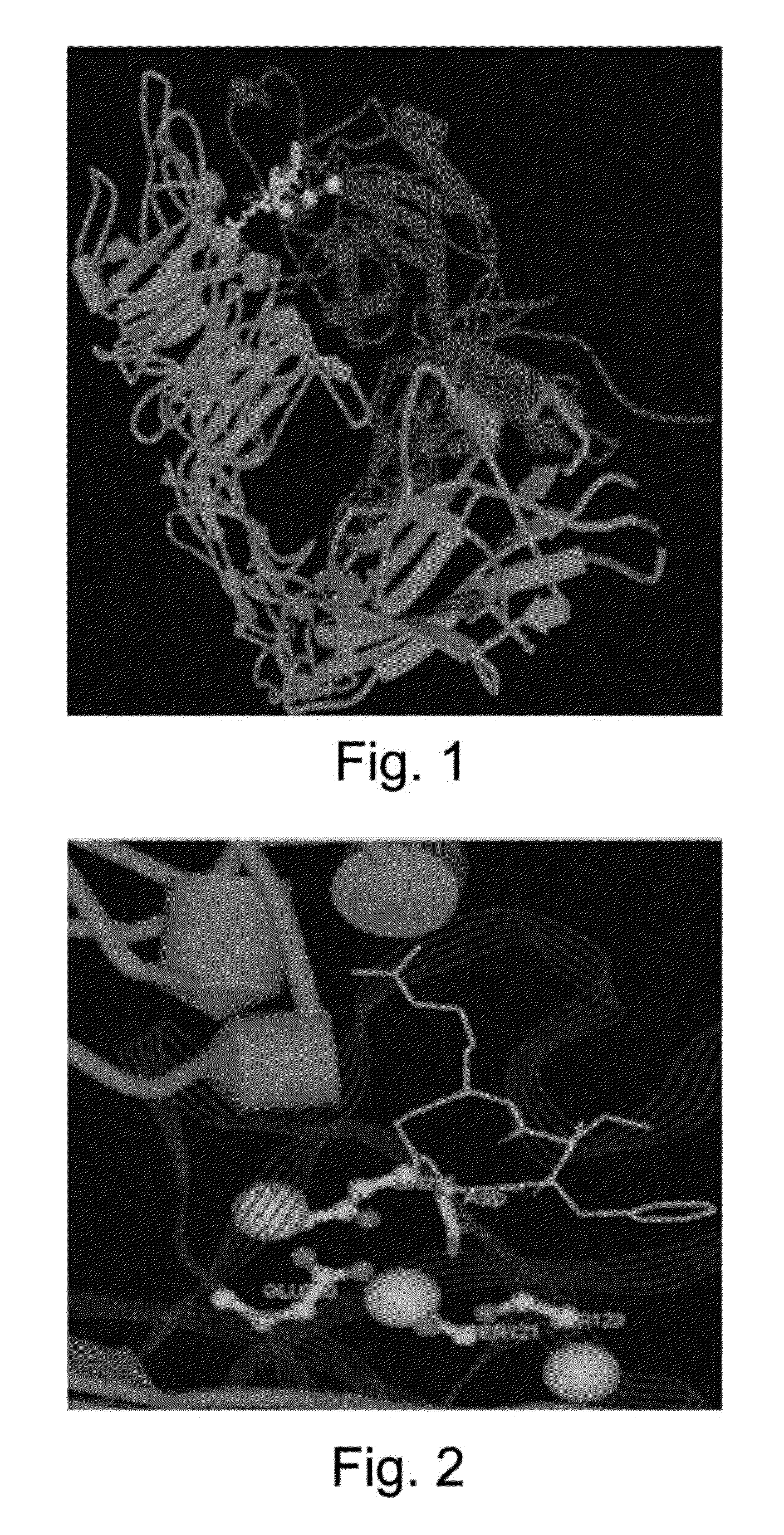 Multimodality agents for tumor imaging and therapy