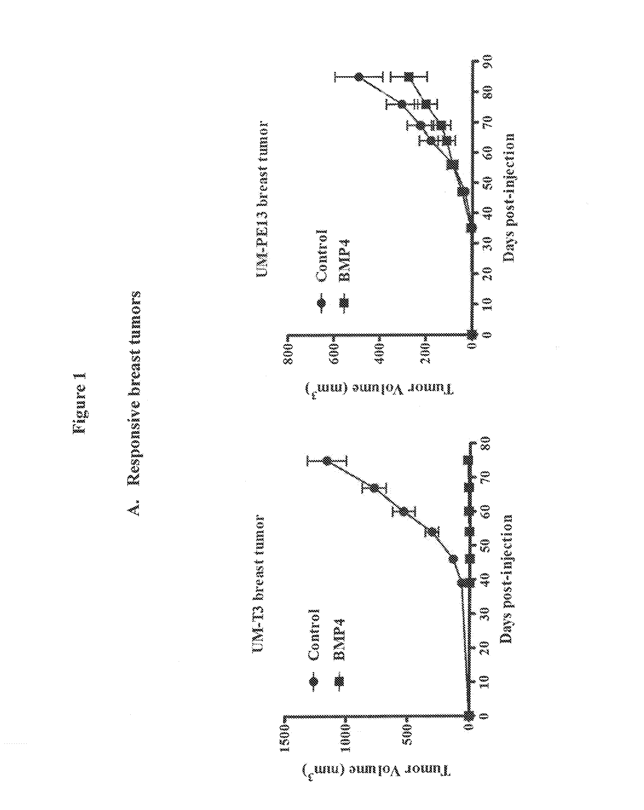 Bone morphogenetic protein receptor binding agents and methods of their use