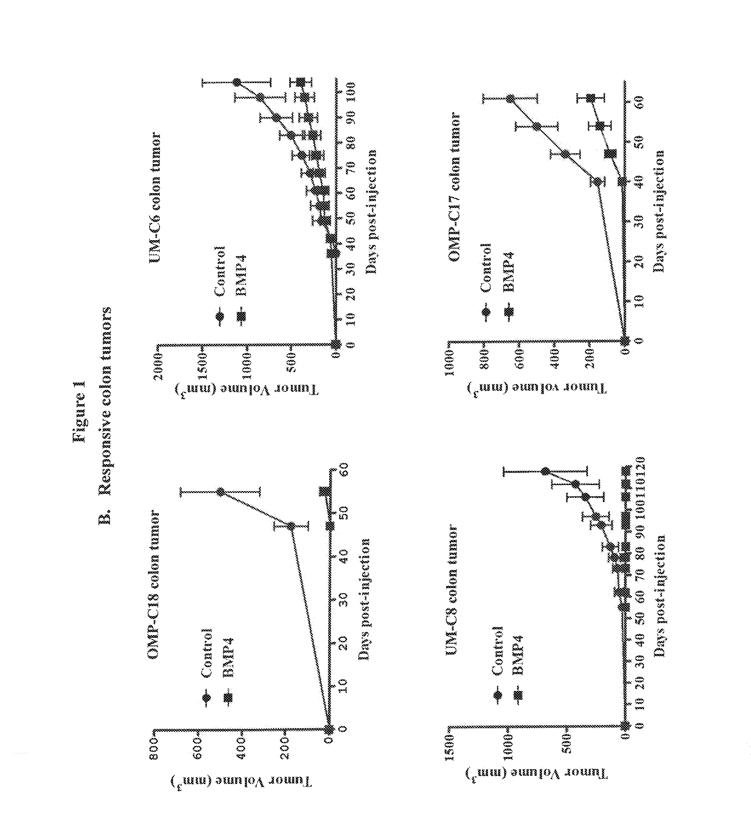 Bone morphogenetic protein receptor binding agents and methods of their use