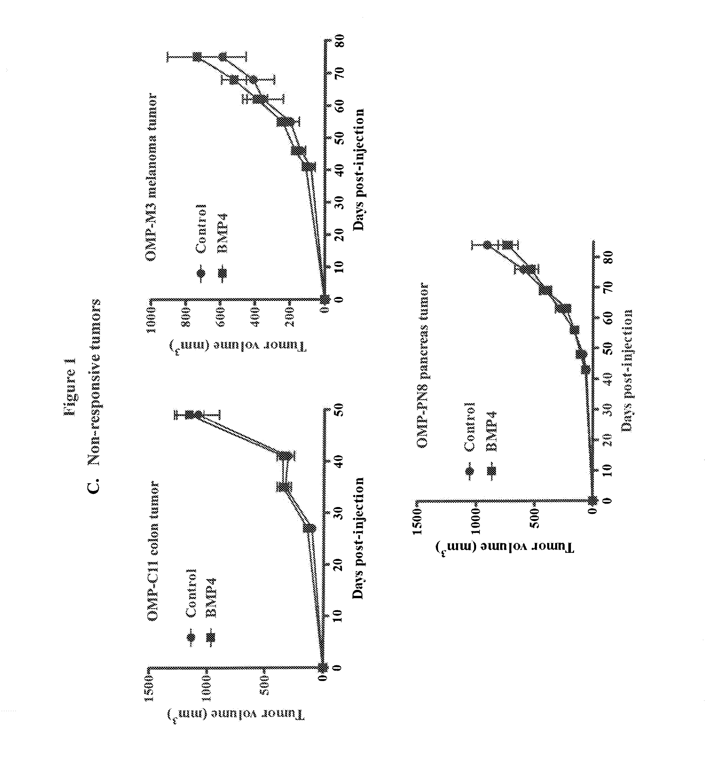 Bone morphogenetic protein receptor binding agents and methods of their use