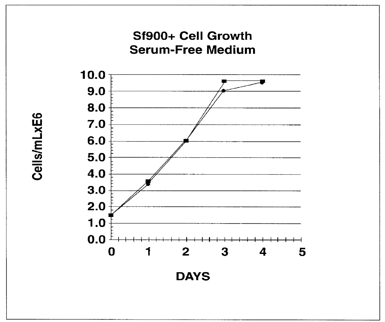 Spodoptera frugiperda single cell suspension cell line in serum-free media, methods of producing and using