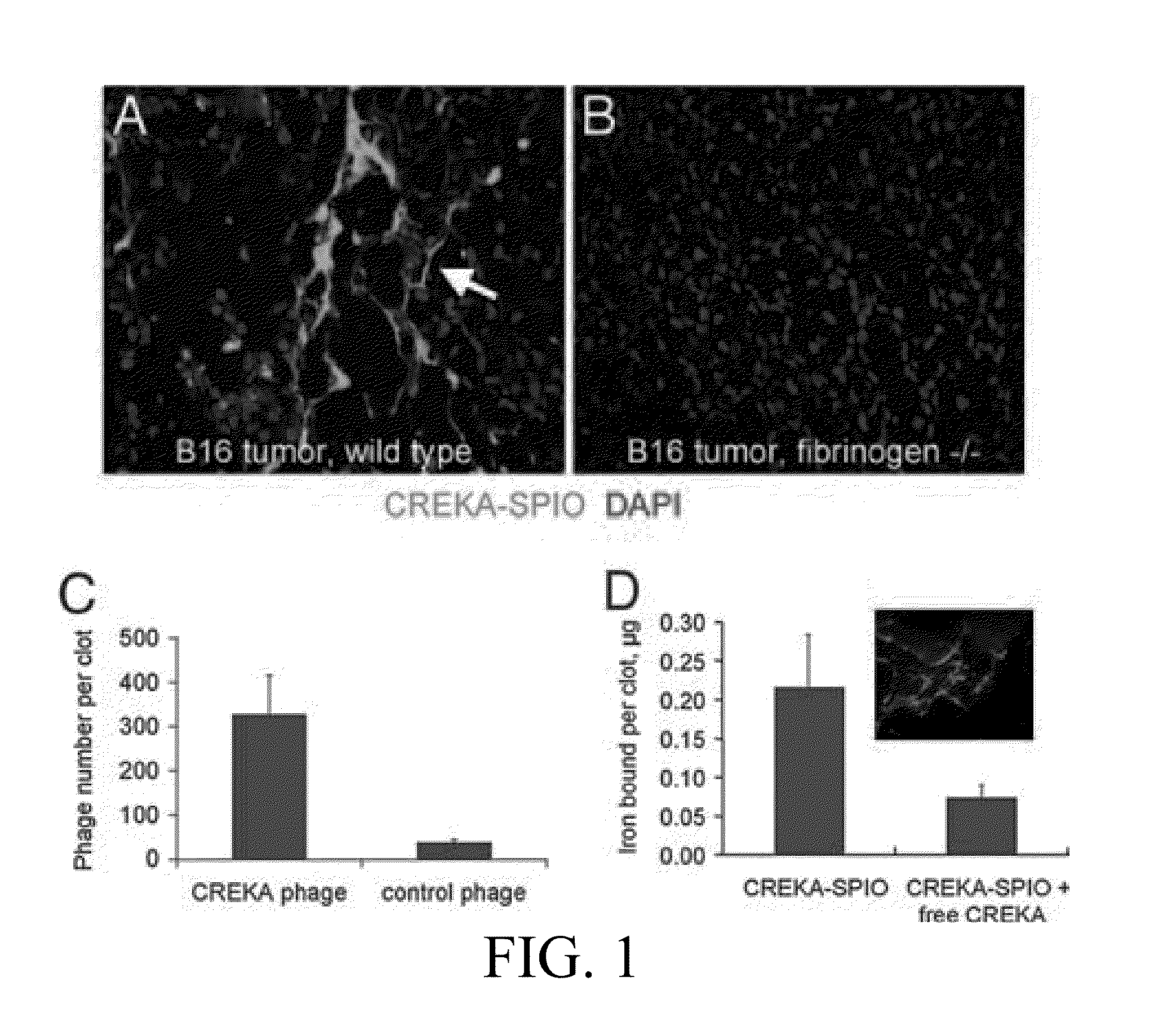 Methods and Compositions Related to Clot Binding Compounds