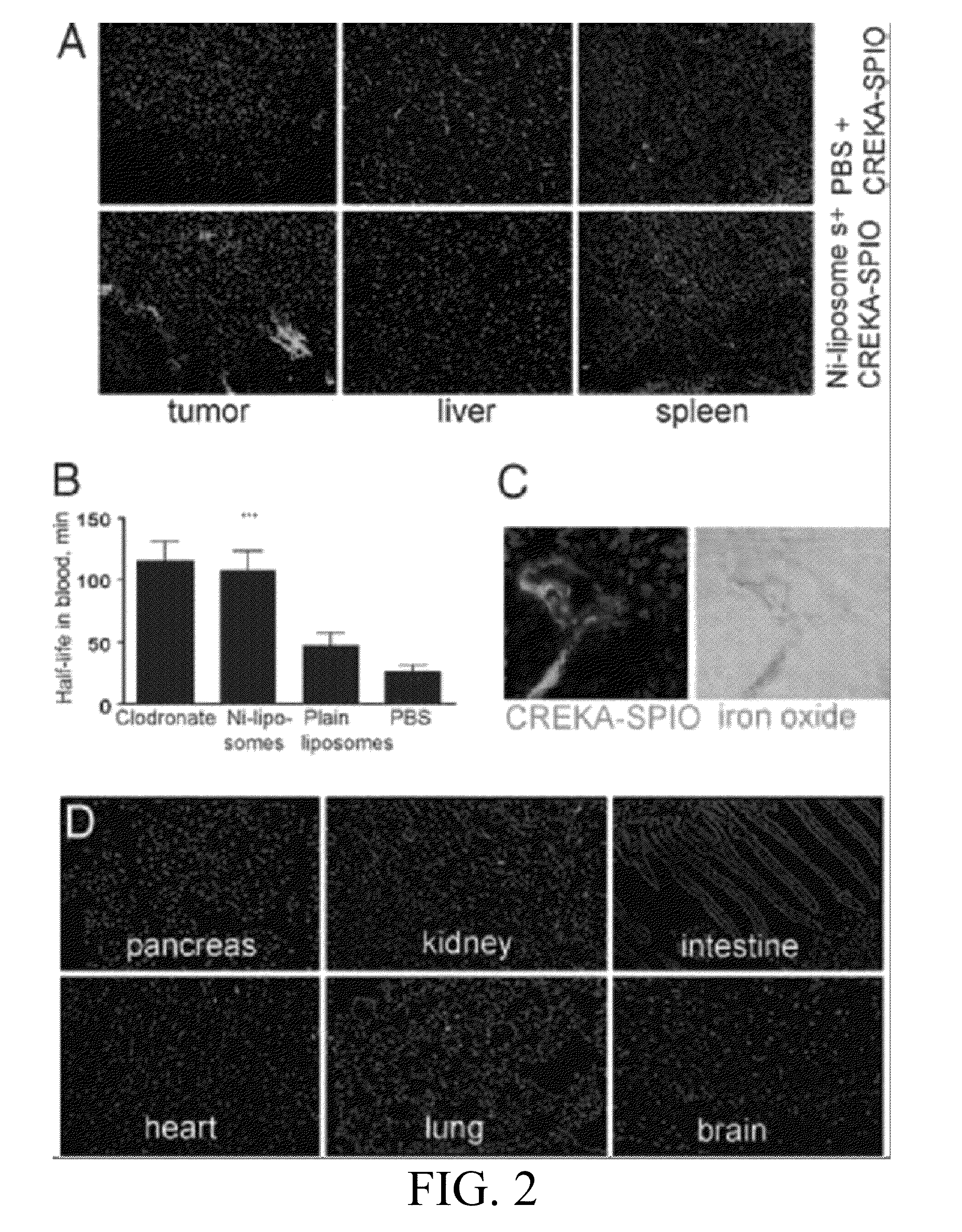 Methods and Compositions Related to Clot Binding Compounds