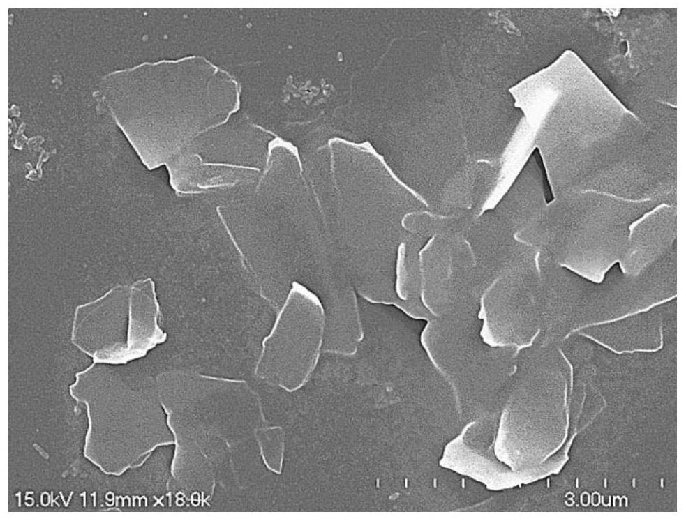 Black phosphorus/bismuth tungstate nanocomposite material and its preparation method and application in waste gas treatment