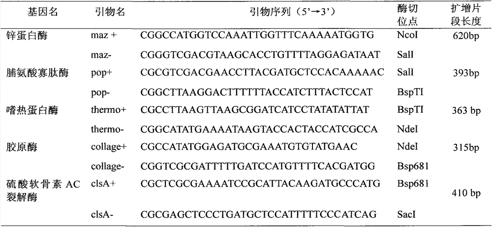 Preparation method of flavobacterium columnare genetic recombination vaccines