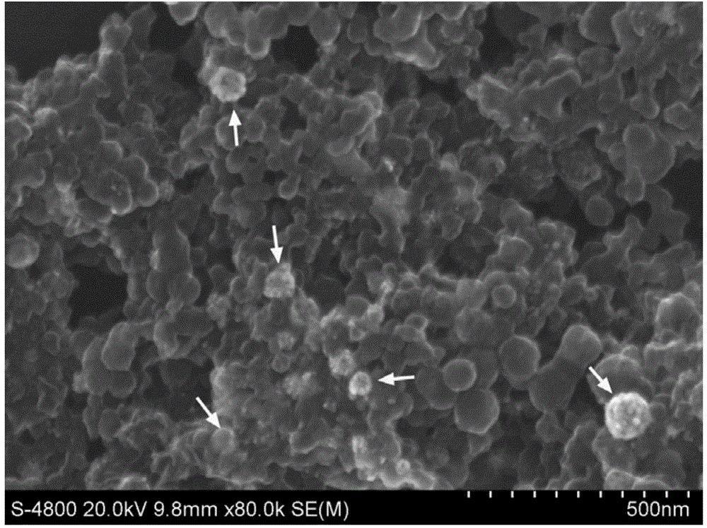 Single-wall carbon nanohorn-hollow nanogold compound and method for preparing single-wall carbon nanohorn-hollow nanogold compound