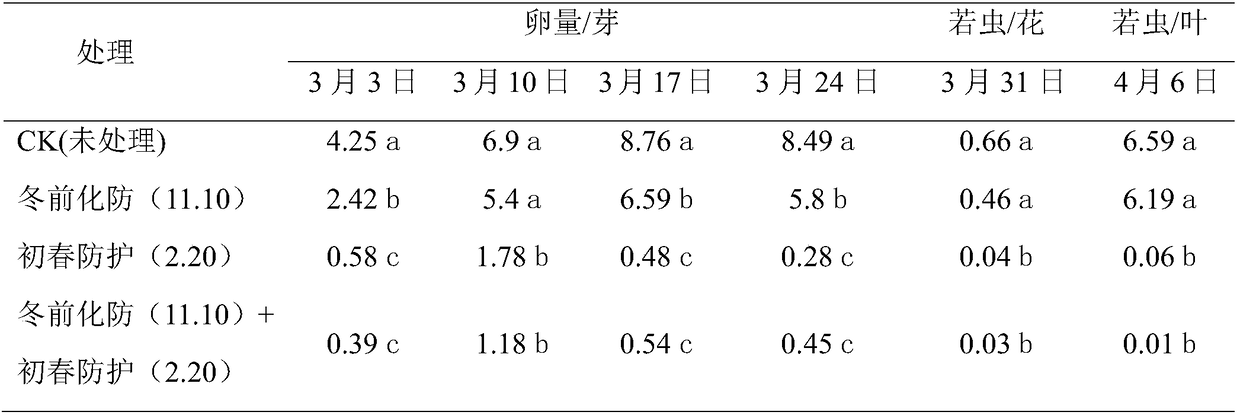 Prevention method for lowering Psylla chinensis Yang et Li insect cardinal number