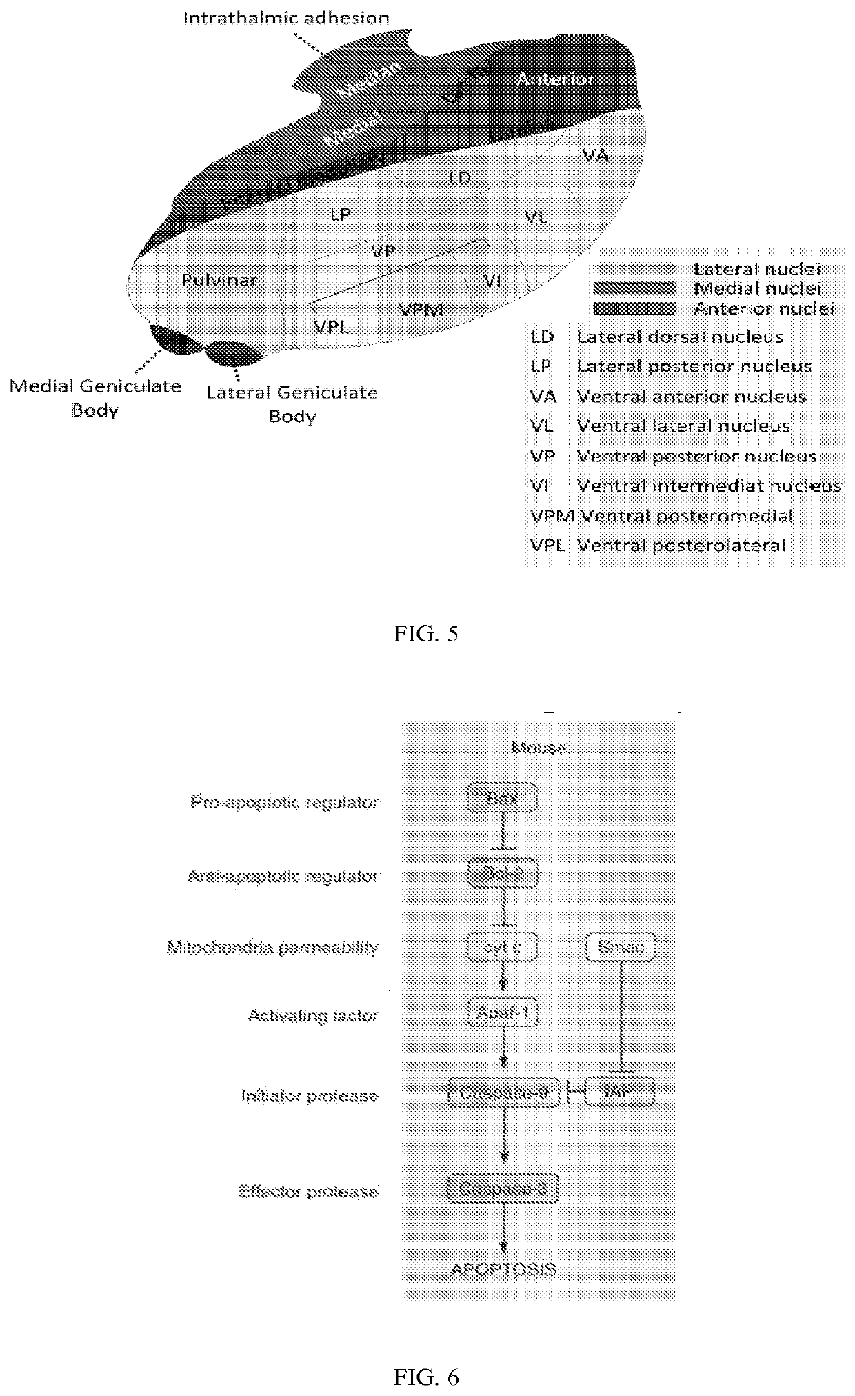 Methods and compositions for decreasing chronic pain