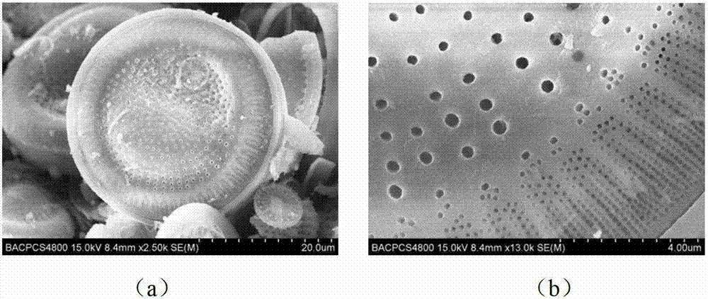 Method for preparing binary oxide modified diatomite powder through recycled waste WC-TiC (wolfram carbide-titanium carbide) alloy