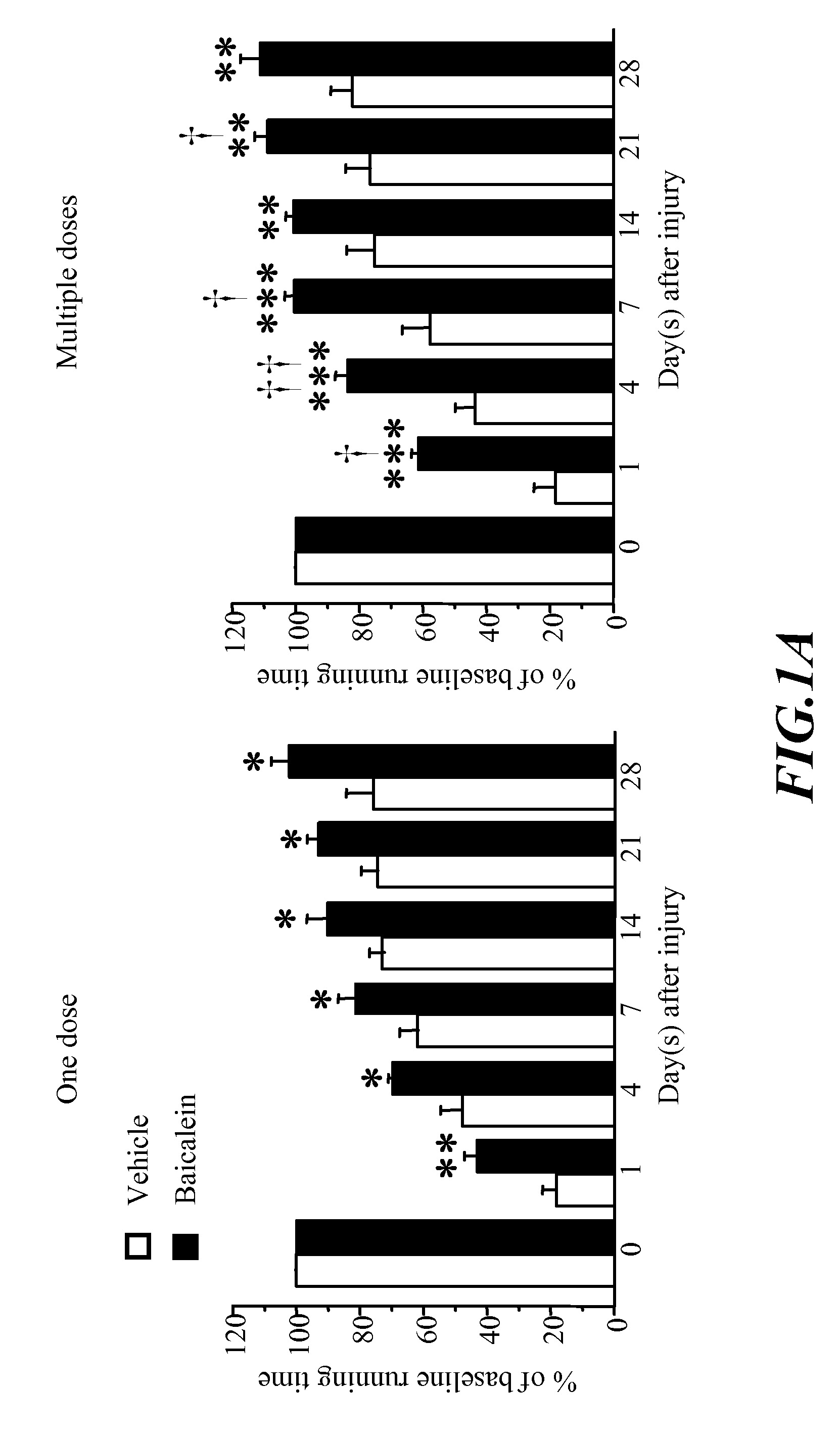 Usage of Baicalein in the Preparation of a Pharmaceutical Composition for the Treatment of Traumatic Brain Injury