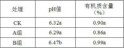 Special high-concentration garlic long-acting slow-release fertilizer and preparation method thereof