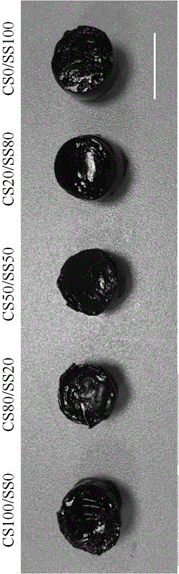 Chitosan-sericin composite biological scaffold as well as preparation method and application thereof